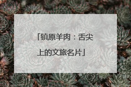 镇原羊肉：舌尖上的文旅名片