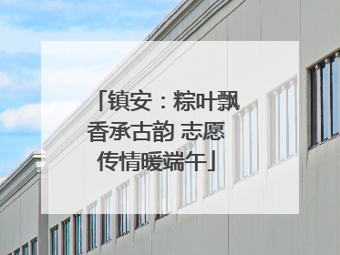 镇安：粽叶飘香承古韵 志愿传情暖端午