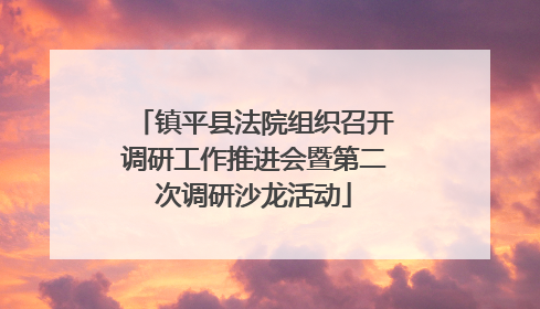 镇平县法院组织召开调研工作推进会暨第二次调研沙龙活动