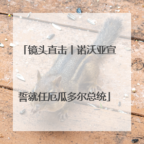 镜头直击丨诺沃亚宣誓就任厄瓜多尔总统