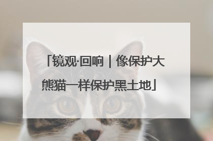 镜观·回响｜像保护大熊猫一样保护黑土地