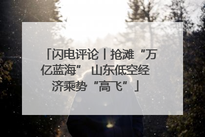 闪电评论丨抢滩“万亿蓝海” 山东低空经济乘势“高飞”