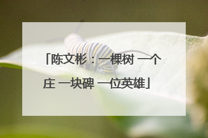 陈文彬：一棵树 一个庄 一块碑 一位英雄