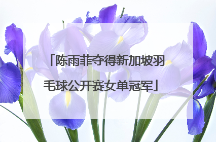 陈雨菲夺得新加坡羽毛球公开赛女单冠军