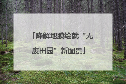 降解地膜绘就“无废田园”新图景