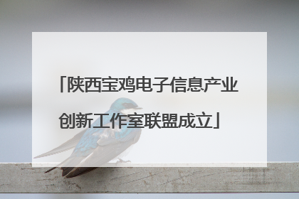 陕西宝鸡电子信息产业创新工作室联盟成立