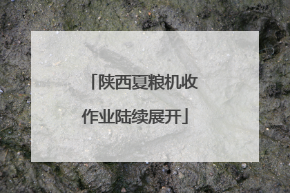 陕西夏粮机收作业陆续展开