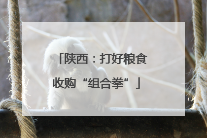 陕西：打好粮食收购“组合拳”