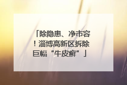 除隐患、净市容！淄博高新区拆除巨幅“牛皮癣”