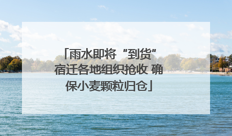 雨水即将“到货” 宿迁各地组织抢收 确保小麦颗粒归仓