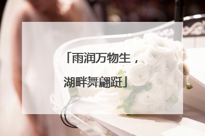 雨润万物生，湖畔舞翩跹
