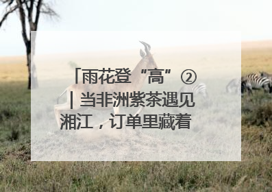 雨花登“高”②｜当非洲紫茶遇见湘江，订单里藏着共富密码