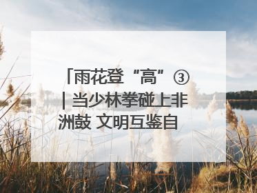 雨花登“高”③｜当少林拳碰上非洲鼓 文明互鉴自有动人韵律