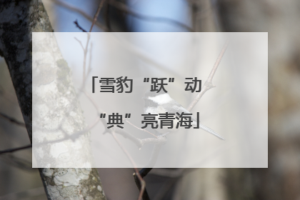雪豹“跃”动 “典”亮青海