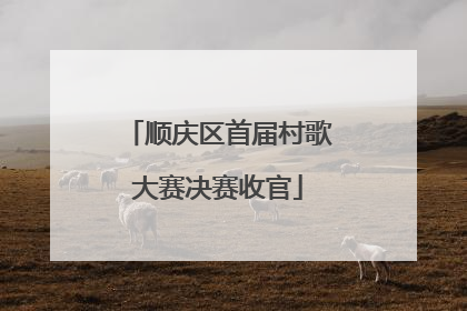 顺庆区首届村歌大赛决赛收官