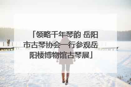 领略千年琴韵 岳阳市古琴协会一行参观岳阳楼博物馆古琴展