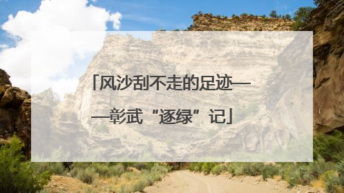 风沙刮不走的足迹——彰武“逐绿”记