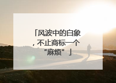 风波中的白象，不止商标一个“麻烦”