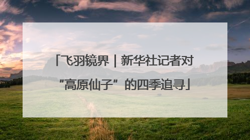 飞羽镜界｜新华社记者对“高原仙子”的四季追寻