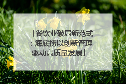 餐饮业破局新范式：海底捞以创新管理驱动高质量发展