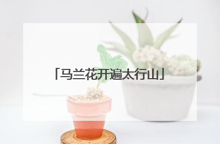 马兰花开遍太行山