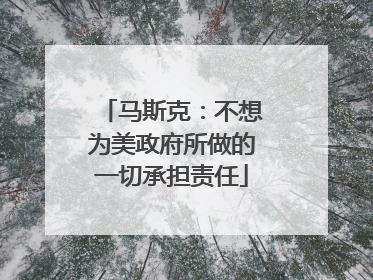 马斯克：不想为美政府所做的一切承担责任