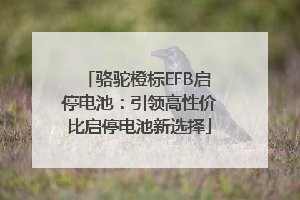 骆驼橙标EFB启停电池：引领高性价比启停电池新选择