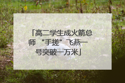 高二学生成火箭总师 “手搓”飞燕一号突破一万米