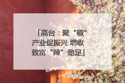 高台：聚“椒”产业促振兴 增收致富“辣”劲足