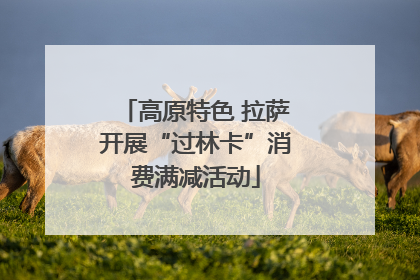 高原特色 拉萨开展“过林卡”消费满减活动