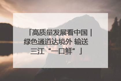 高质量发展看中国｜绿色通道达境外 输送三江“一口鲜”