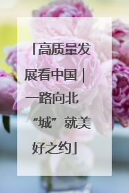高质量发展看中国｜一路向北 “城”就美好之约