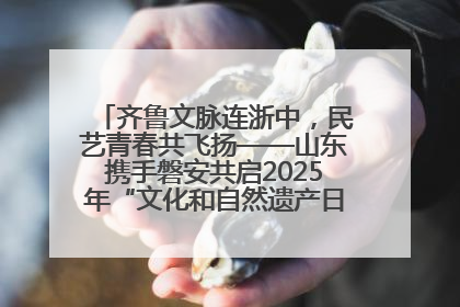 齐鲁文脉连浙中，民艺青春共飞扬——山东携手磐安共启2025年“文化和自然遗产日”系列活动