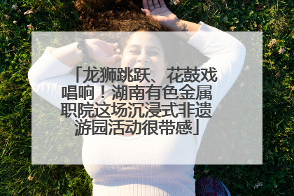 龙狮跳跃、花鼓戏唱响！湖南有色金属职院这场沉浸式非遗游园活动很带感