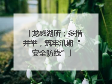 龙感湖所；多措并举，筑牢汛期“安全防线”