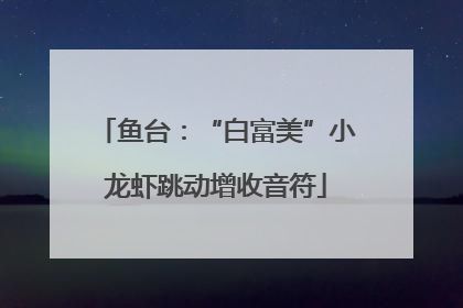 鱼台：“白富美”小龙虾跳动增收音符