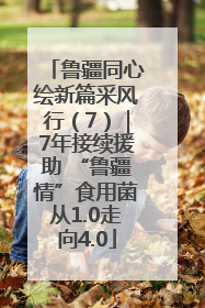 鲁疆同心绘新篇采风行（7）｜7年接续援助 “鲁疆情”食用菌从1.0走向4.0