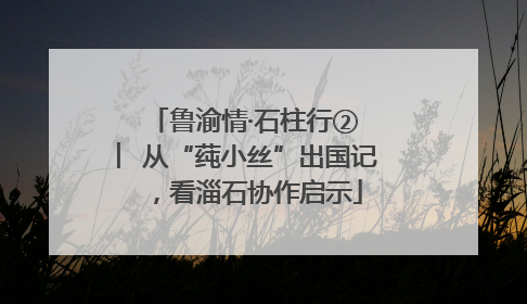 鲁渝情·石柱行② ︳从“莼小丝”出国记，看淄石协作启示