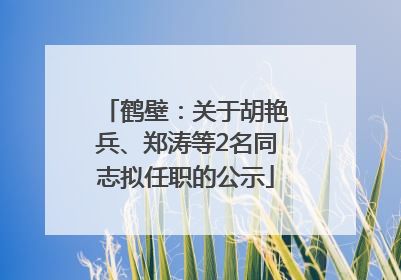 鹤壁：关于胡艳兵、郑涛等2名同志拟任职的公示