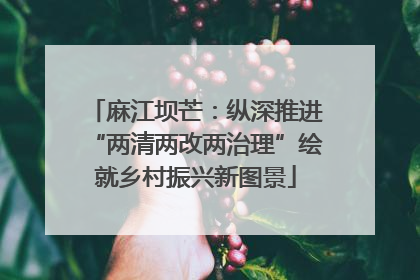 麻江坝芒：纵深推进“两清两改两治理”绘就乡村振兴新图景