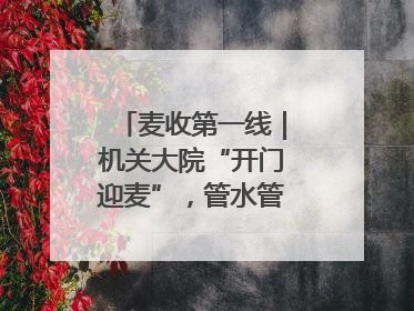 麦收第一线｜机关大院“开门迎麦”，管水管饭真不赖
