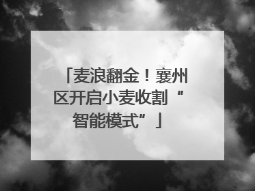 麦浪翻金！襄州区开启小麦收割“智能模式”