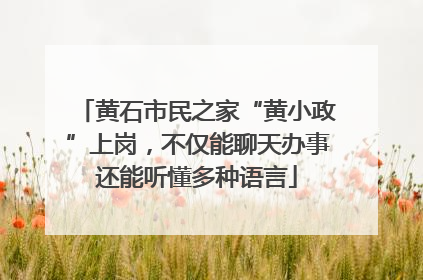 黄石市民之家“黄小政”上岗，不仅能聊天办事还能听懂多种语言