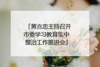 黄喜忠主持召开市委学习教育集中整治工作推进会