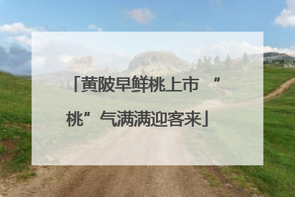 黄陂早鲜桃上市 “桃”气满满迎客来