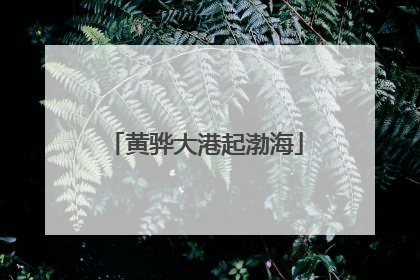 黄骅大港起渤海