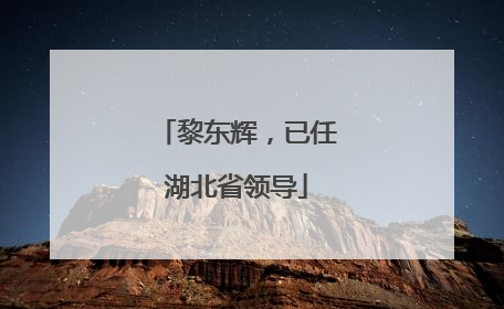 黎东辉，已任湖北省领导