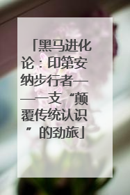 黑马进化论：印第安纳步行者——一支“颠覆传统认识”的劲旅