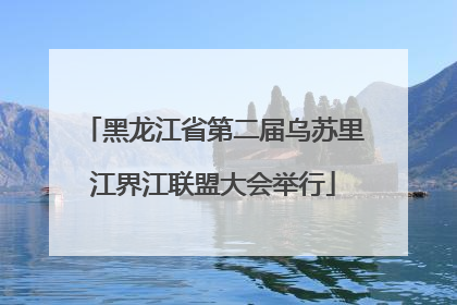 黑龙江省第二届乌苏里江界江联盟大会举行