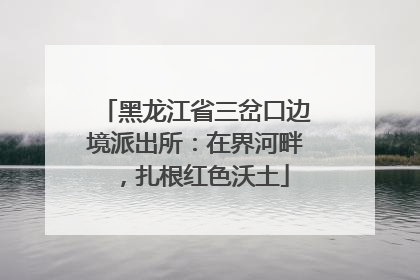 黑龙江省三岔口边境派出所：在界河畔，扎根红色沃土